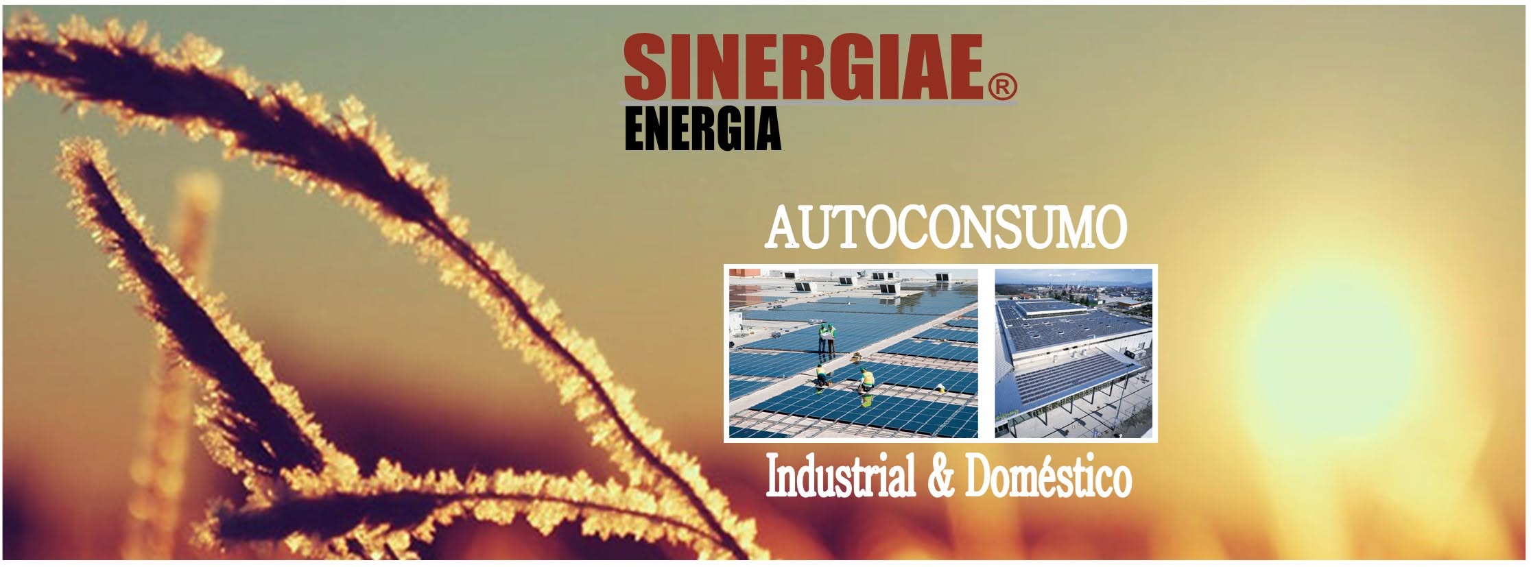 SINERGIAE