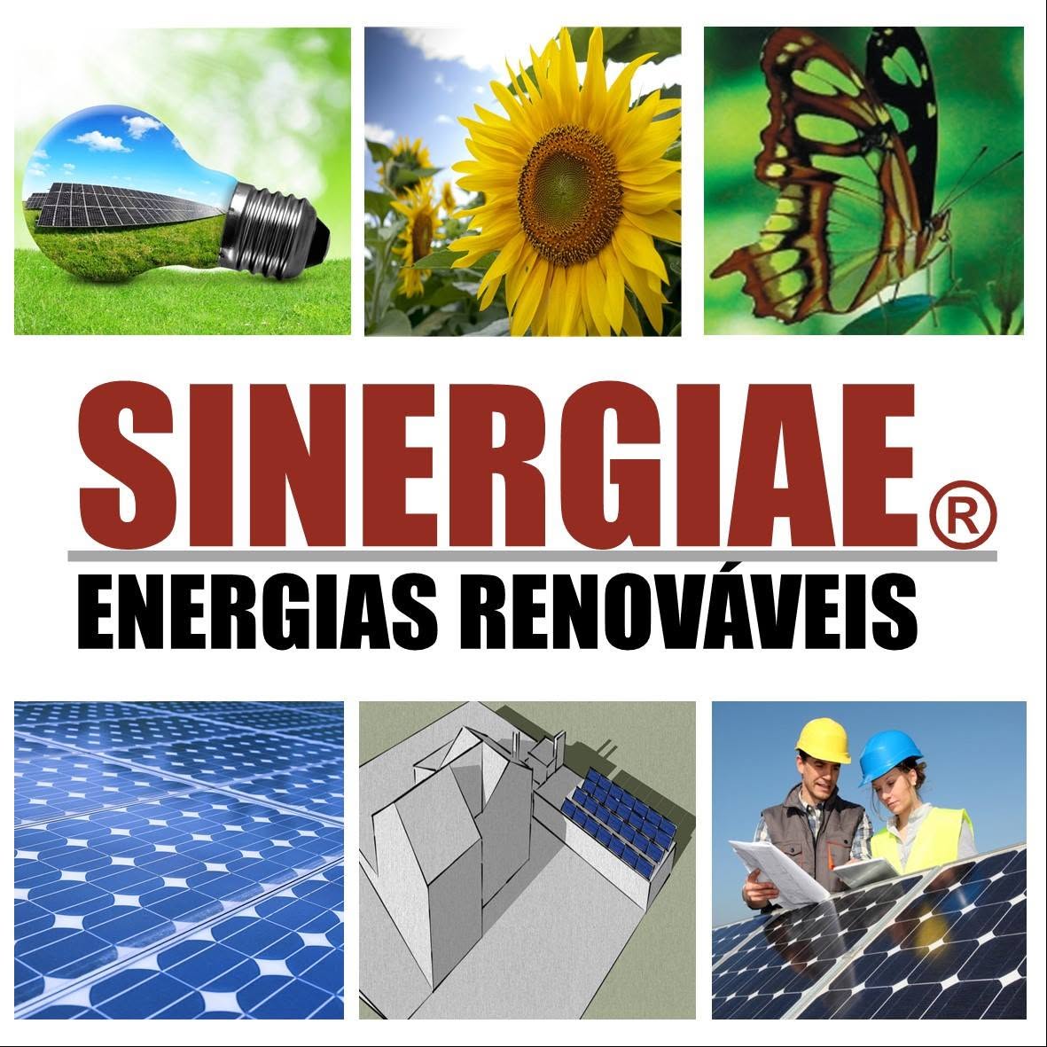 SINERGIAE